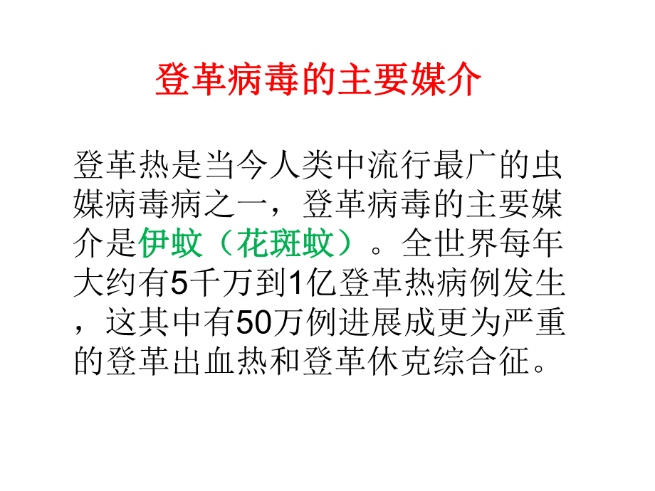 主题班会课件：登革热病毒防治知识.ppt_第3页