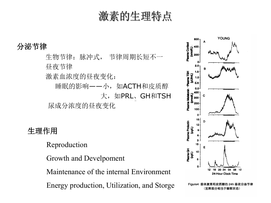 内分泌激素水平测试和相关试验课件.ppt_第3页