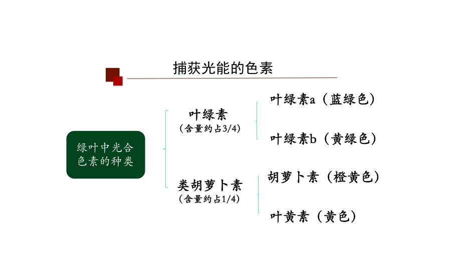 人教版高一生物必修1-第4节-光合作用与能量转化(第二课时)-课件.pptx_第3页