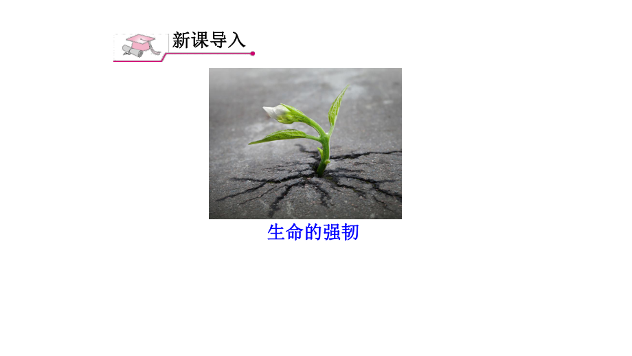 人教版七年级道德与法治上册-感受生命的意义课件.ppt_第3页