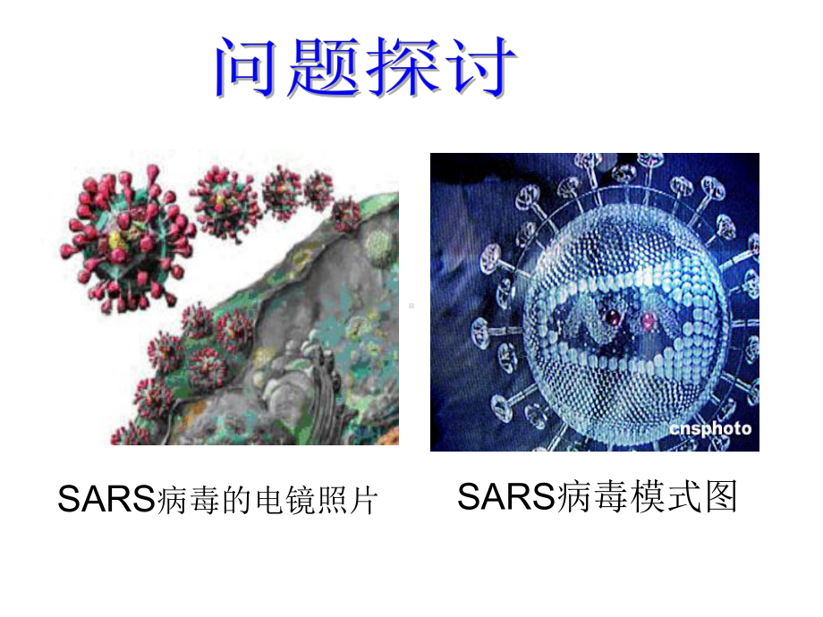 人教版高一生物必修一-从生物圈到细胞-课件.ppt_第3页