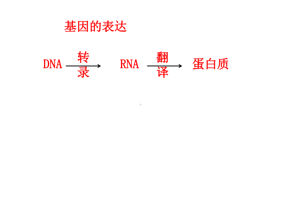 人教版生物必修二第四章基因的表达-复习课件-(共36张).ppt_第3页