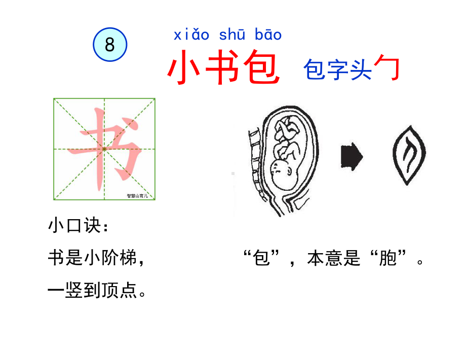 人教版(部编版)一年级上册语文一上识字8《小书包》2优秀课课件.ppt_第3页