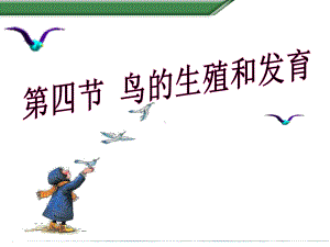 人教版鸟的生殖和发育课件.ppt