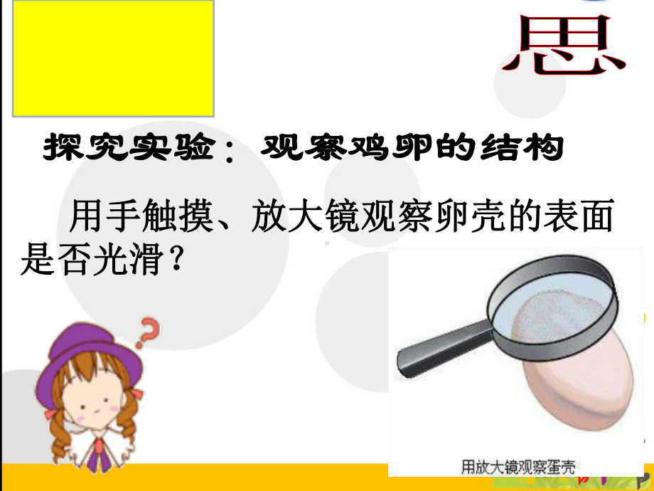 人教版鸟的生殖和发育课件.ppt_第2页