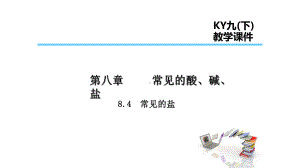 九年级化学下册第八章常见的酸碱盐84常见的盐课件新版粤教版.ppt