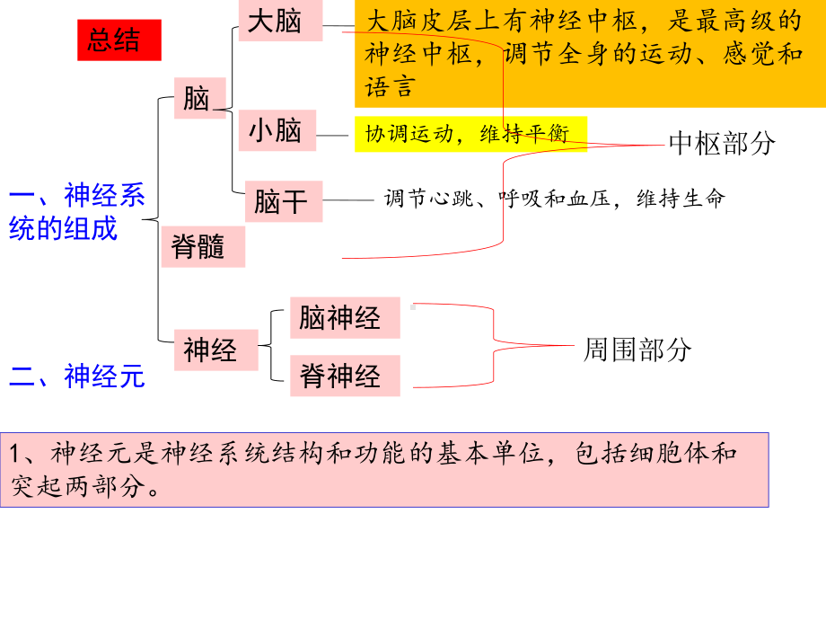 人教版七年级下册生物第六章第三节：神经调节的基本方式课件(共21张).pptx_第1页