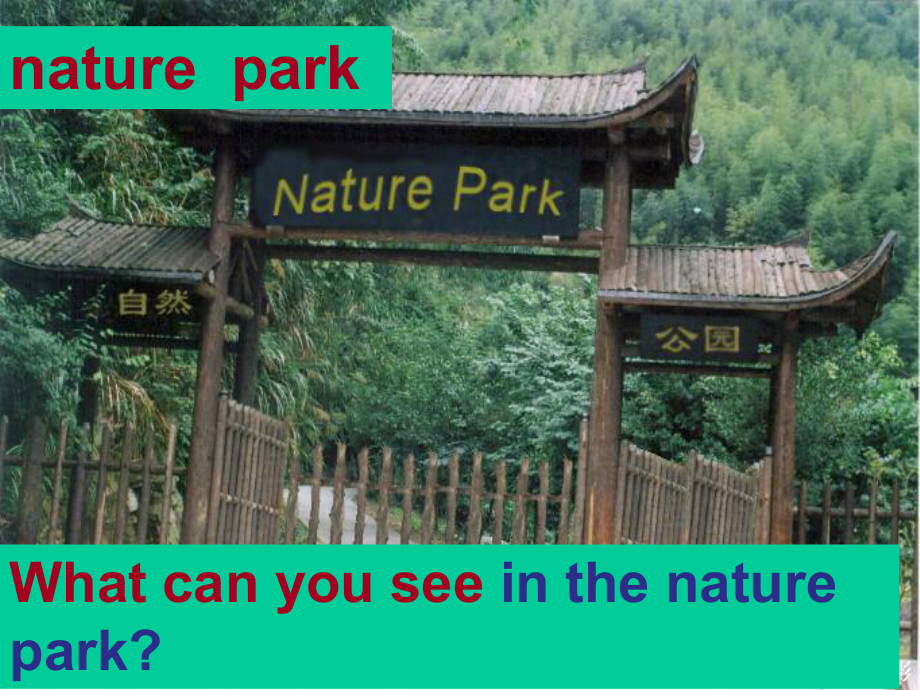 人教(PEP)五年级上册英语Unit6-In-a-nature-park-PartA-(共18张)课件.ppt--（课件中不含音视频）_第2页