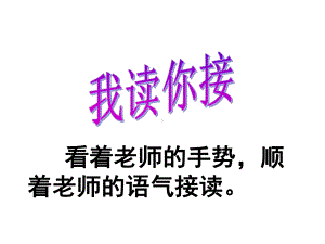 人教新课标语文四年级下册：519生命生命第二课时课件.ppt