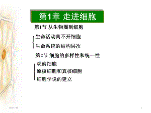 人教版生物必修一第一章《走近细胞》课件(共31张).ppt