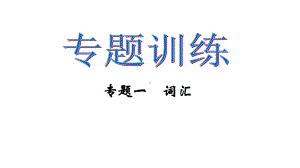 人教版部编九年级英语全册专题复习完美课件.pptx