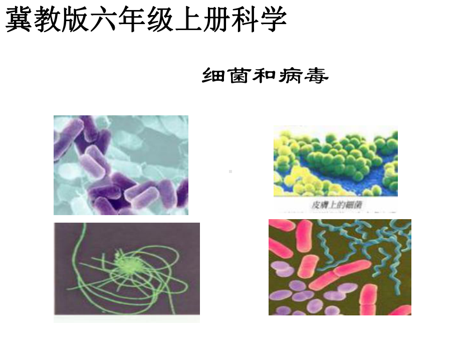 六年级科学上册第一单元细菌和病毒课件.ppt_第1页