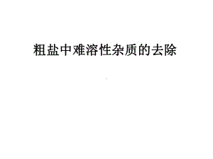 人教版九年级化学下册《粗盐中难溶性杂质的去除》课件.ppt