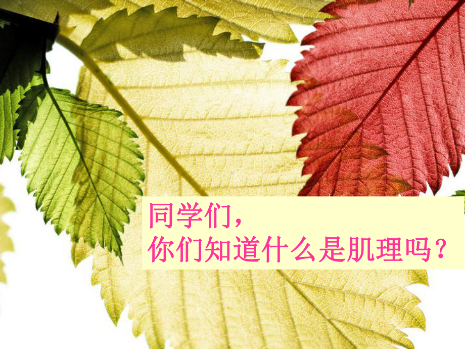 五年级美术下册第八课《神奇的肥皂粉》课件.ppt_第2页