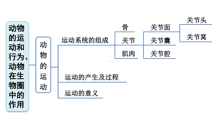 人教版生物八年级上册第五单元第二、三章巩固强化复习课件.ppt_第2页