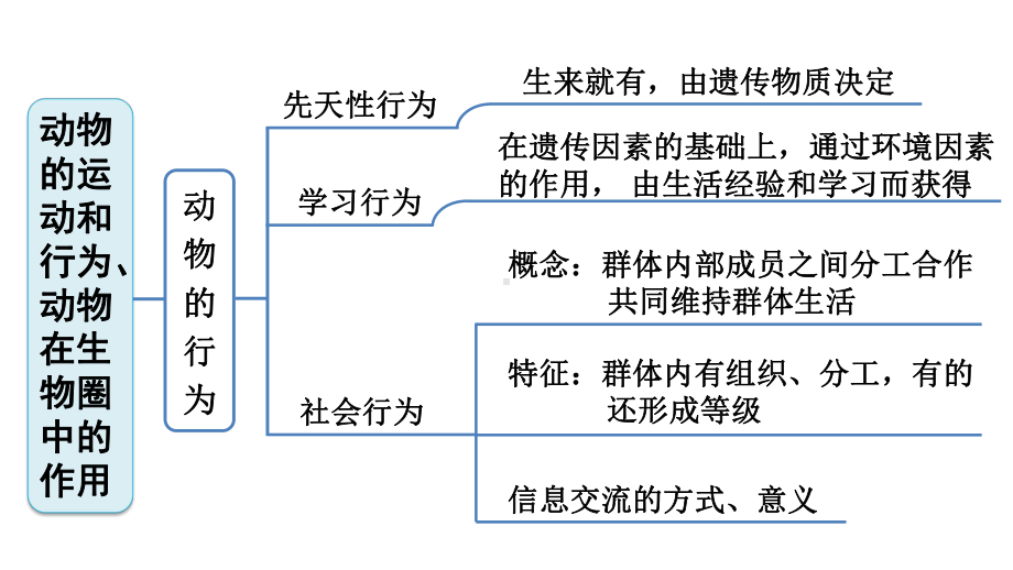 人教版生物八年级上册第五单元第二、三章巩固强化复习课件.ppt_第3页