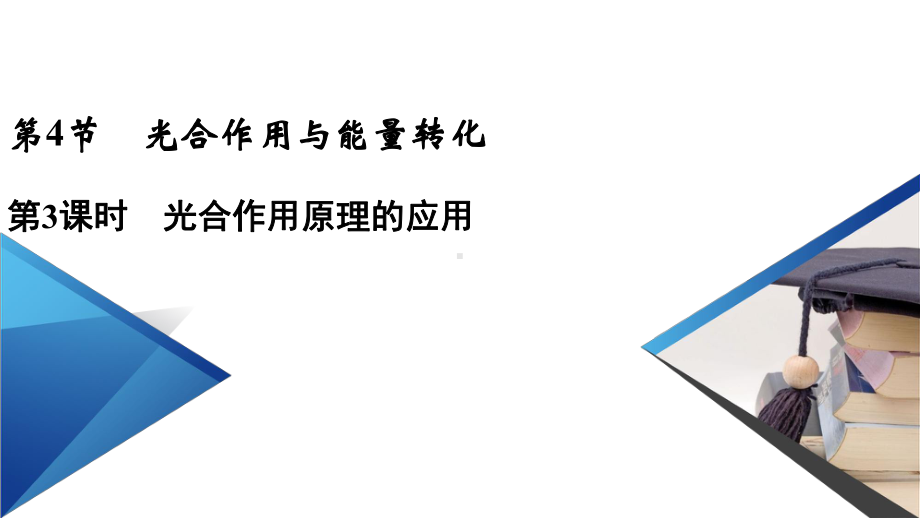 人教版新教材《光合作用与能量转化》课件2.ppt_第2页