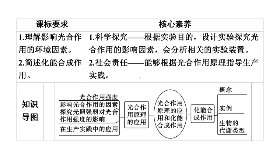 人教版新教材《光合作用与能量转化》课件2.ppt_第3页