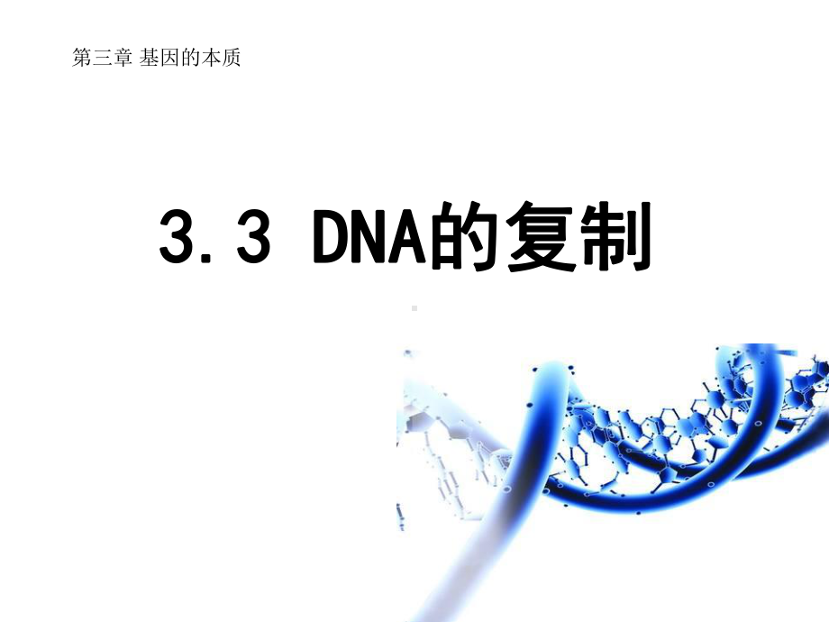 人教版新教材《DNA的复制》3课件.pptx_第1页