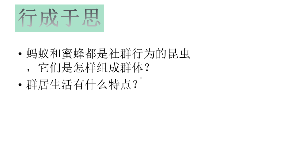 动物的社群行为-（2020北师大版-八年级上册-生物-一师一优课）课件.pptx_第2页