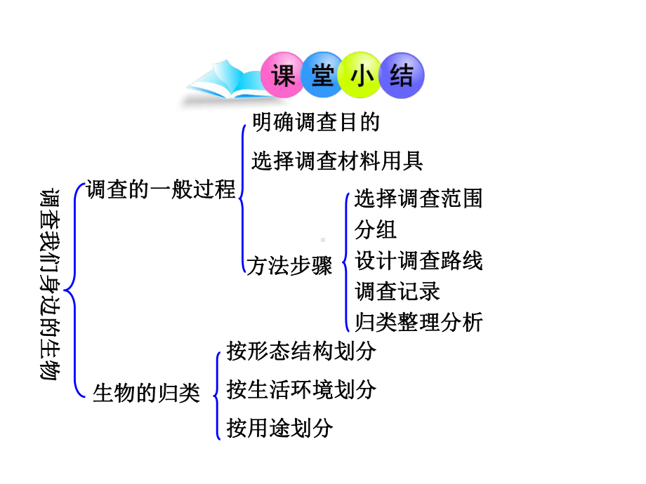 人教版七年级上册生物笔记-课件.ppt_第2页