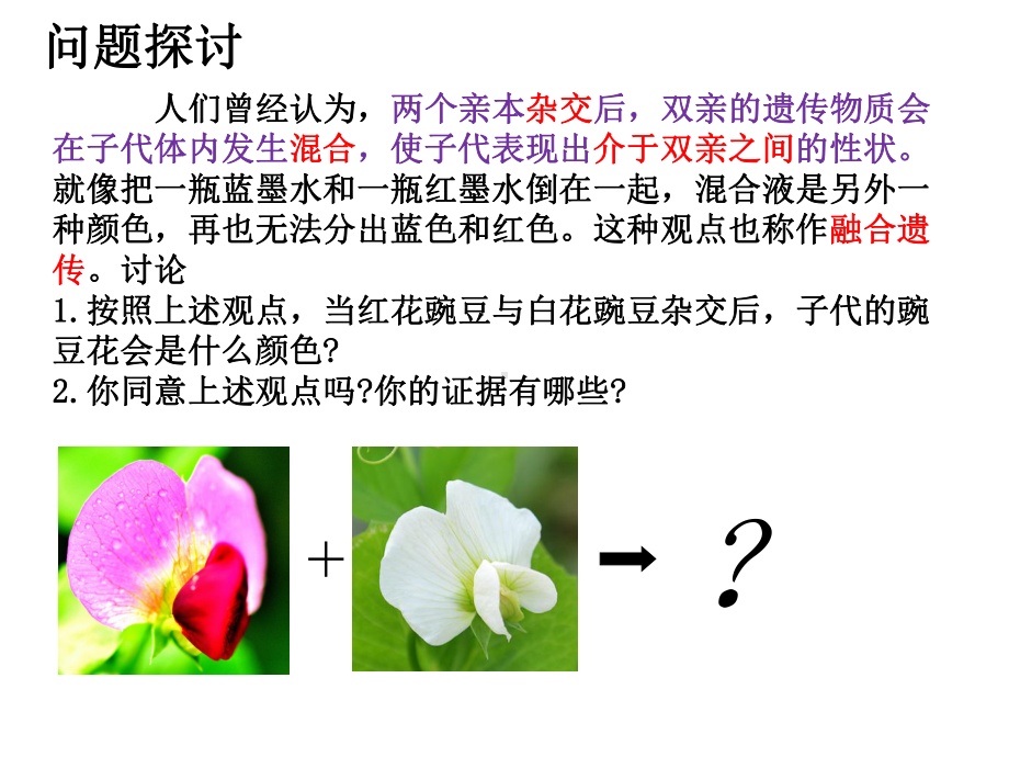 人教版新教材《孟德尔的豌豆杂交实验(一)》课件1.ppt_第2页