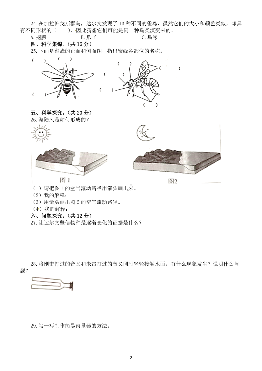 小学科学大象版三年级上册期末测试题3（附参考答案）.docx_第2页