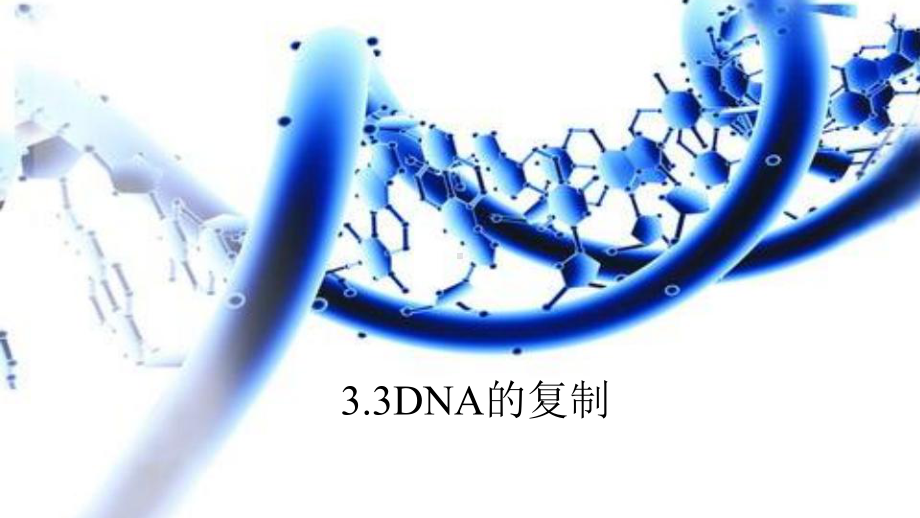 人教版新教材《DNA的复制》课件2.pptx_第1页