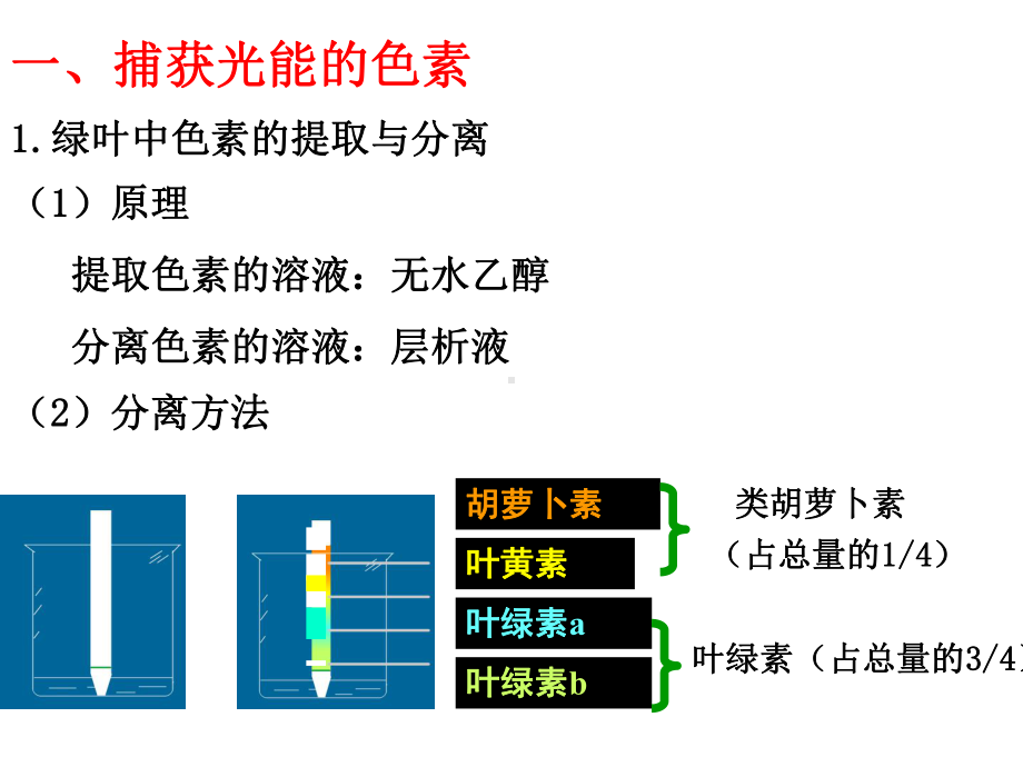 人教版生物必修一《捕获光能的色素和结构》公开课-课件.ppt_第2页