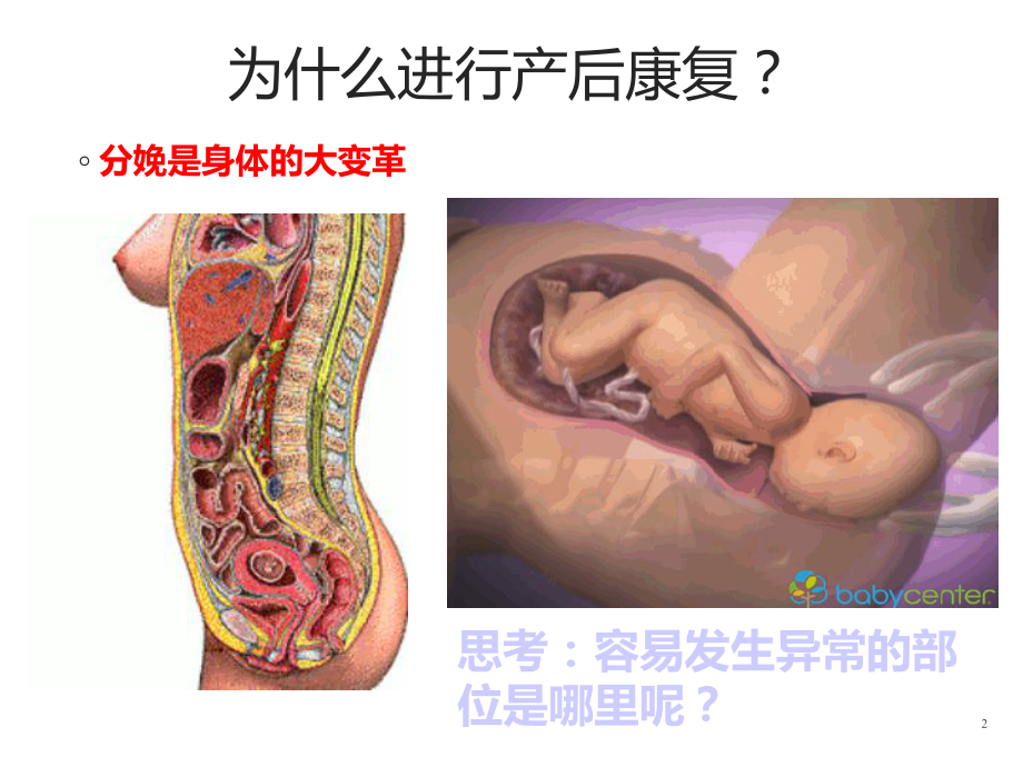 产后康复实操培训课件.ppt_第2页