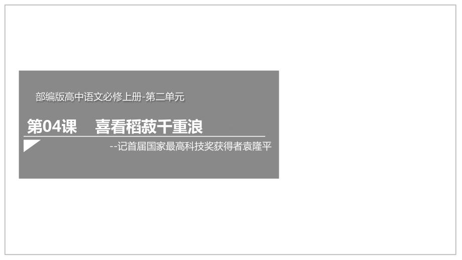 人教统编版高中语文必修上册241-《喜看稻菽千重浪》课件.pptx_第1页