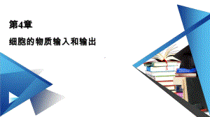 人教版新教材《被动运输》1课件.ppt