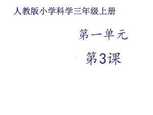 人教版小学科学上册三年级科学上册课件《动物的家》课件.ppt