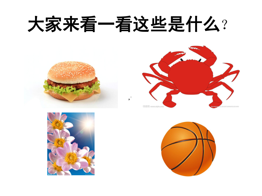 动漫宝宝课件.ppt_第1页