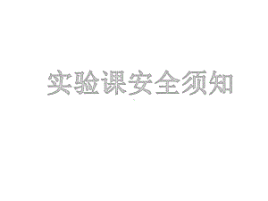 主题班会课件《实验课安全须知》课件(共31张).pptx