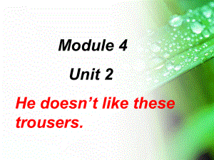 二年级英语上册Module4Unit2Hedoesn’tlikethesetrous(同名41)课件.ppt--（课件中不含音视频）