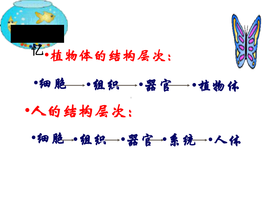 人教版生物单细胞生物课件.pptx_第3页