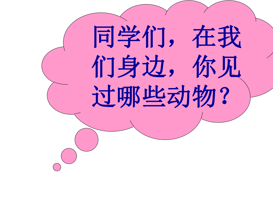 人教版小学科学上册二年级科学上册11我们身边的动物课件(19张).ppt_第2页