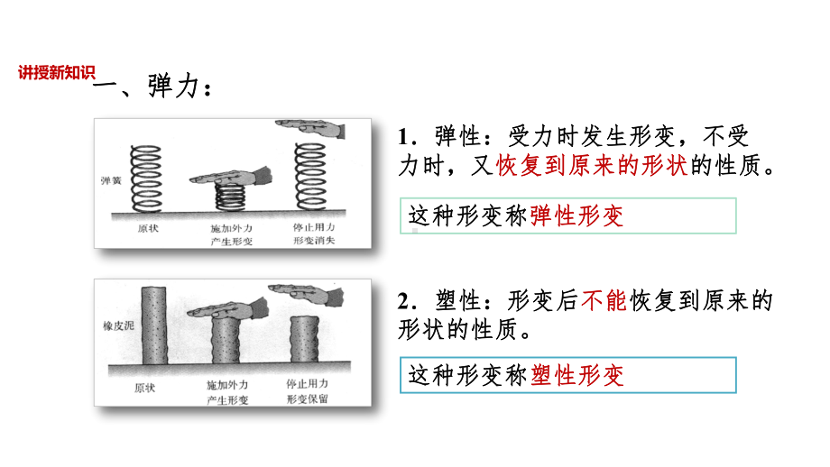 人教版八年级物理下册《弹力》课件.pptx_第3页