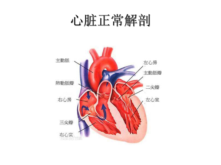 内科学肺心病课件.ppt_第3页