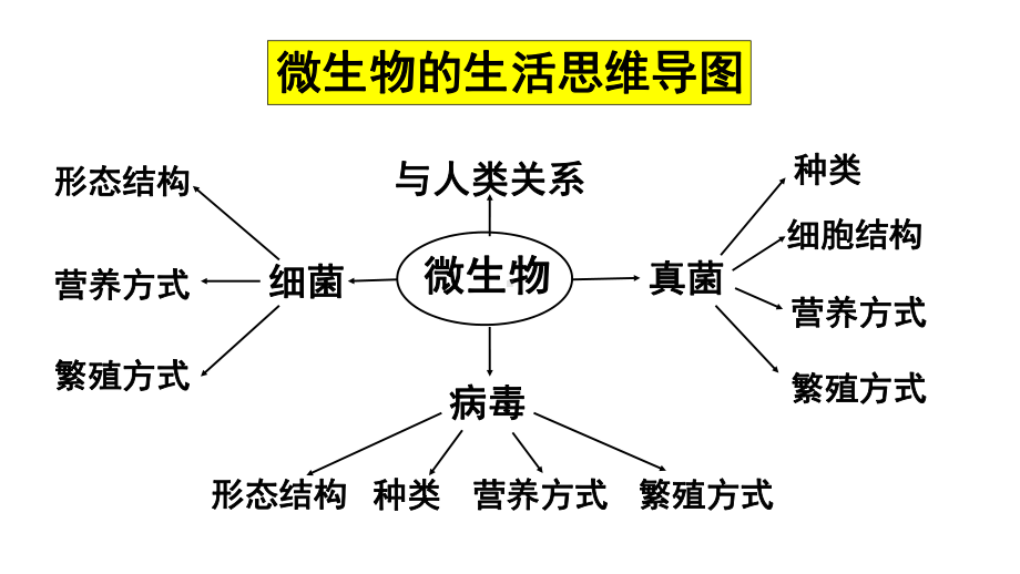 八年级生物-《微生物的生活》课件.ppt_第1页