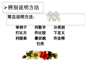 初中语文辨别说明方法及作用课件.ppt