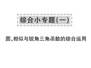 九年级数学下册-综合小专题一-圆-相似与锐角三角函数的综合运用课件-(新版)沪科版.ppt