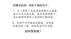 中考语文总复习专题句子的赏析完美课件.pptx