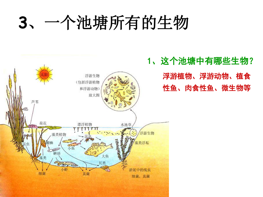 -群落的结构课件.ppt_第3页