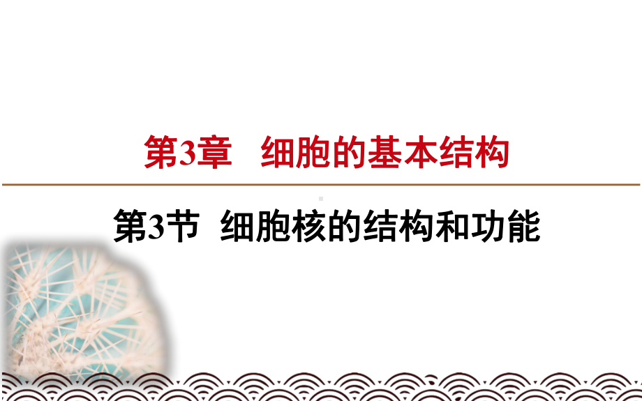 人教版高中生物必修一课件：细胞核的结构和功能新教材.pptx_第1页