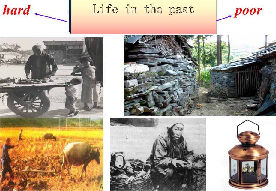 人教版高二英语必修五Unit3-Life-in-the-future-Reading-课件-(共30张).ppt--（课件中不含音视频）_第3页