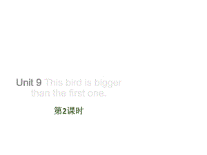 六年级英语Unit-9-This-bird-is-bigger-than-the-first-one(第2课时)教学课件.ppt--（课件中不含音视频）