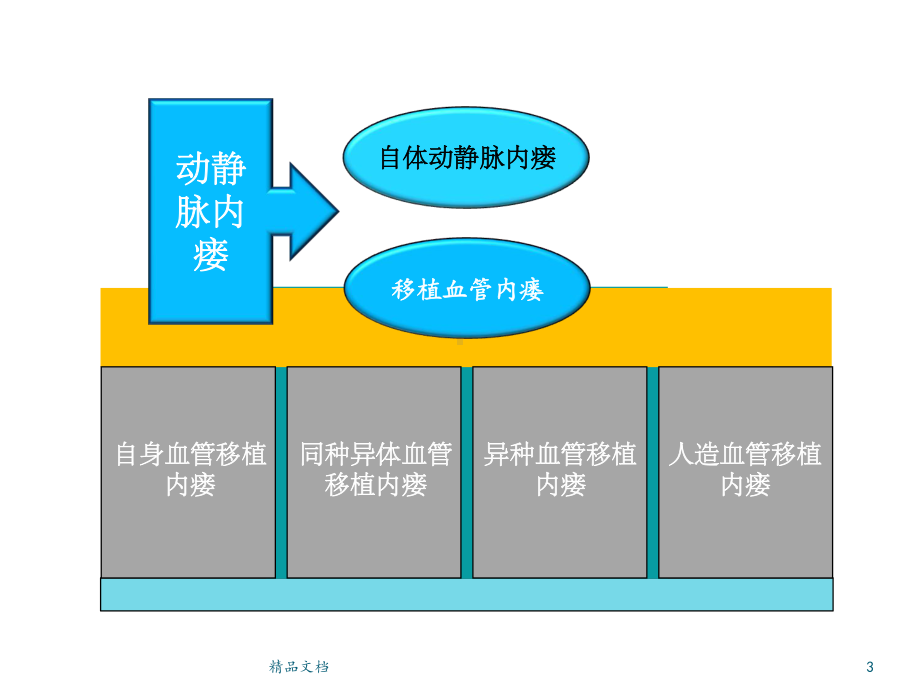 动静脉内瘘版本课件.ppt_第3页