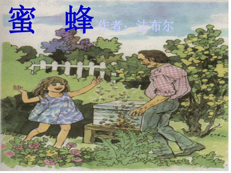 人教版小学三年级下册语文《蜜蜂》教学课件.ppt_第1页